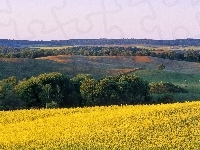 Drzewa, Wzgórza, Krajobraz