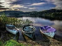 Łódki, Jezioro, Wzgórza, Trzcina