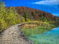 Jezioro, Wzgórze, Pomost