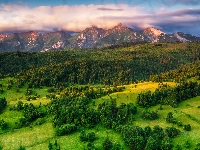 Chmury, Poranek, Łąki, Góry, Tatry, Lasy, Słowacja, Wzgórze