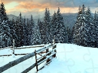 Wzgórze, Ogrodzenie, Zima, Las, Śnieg