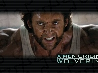 X_Men Wolverine Origins