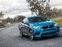 F86, Niebieskie, BMW X6 M, 2015