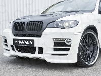 X6, Hamann