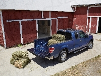 Ford, F-150 XLT