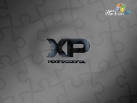 XP, Professional