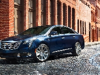 Niebieski, 2018, Cadillac XTS, Domy, Ulica