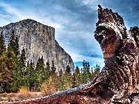 Yosemite, Park, Narodowy, USA