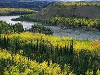Yukon, Rzeka, Lasy, Kanada