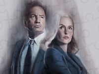 Aktorka, Serial, David Duchovny, Grafika, Aktor, Z archiwum X, Gillian Anderson