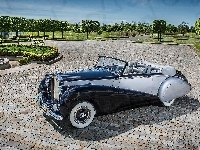 1952, Zabytkowy, Rolls Royce Silver Dawn, Park