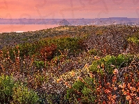 Wzgórza, Stany Zjednoczone, Zachód słońca, Roślinność, Park Stanowy Montana de Oro, Kalifornia, Krzewy