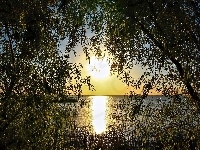 Zachód Słońca, Jezioro, Drzewa