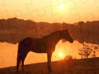 Zachód Słońca, Koń, Jezioro