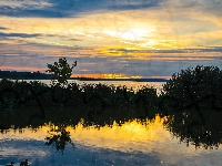 Jezioro Balaton, Krzewy, Zachód słońca, Węgry, Trawa