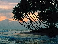 Zachód, Ocean, Palmy, Słońca