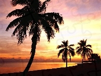 Zachód Słońca, Palmy, Jezioro