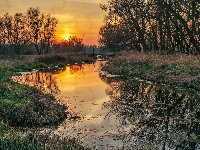 Rzeka, Drzewa, Las, Zachód słońca, Trawa
