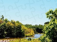 Rzeki, Zakole, Drzewa