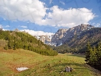 Góry, Zakopane, Łąka