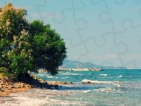 Zakynthos, Morze, Drzewo, Grecja