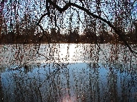 Jezioro, Zamarznięte, Wierzba