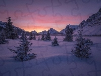 Zamarznięte, Park Narodowy Banff, Zachód słońca, Alberta, Drzewa, Góry, Zima, Kanada, Góra Crowfoot Mountain, Jezioro Bow Lake