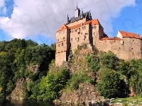 Zamek, Drzewa