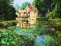 Jezioro, Zamek, Staw
