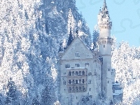 Zamek Neuschwanstein, Drzewa, Niemcy, Bawaria, Lasy