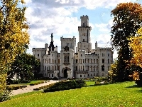 Park, Zamek, Drzewa