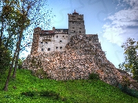 Trawa, Bran, Rumunia, Zamek Bran, Drzewa, Wzgórze