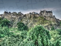 Edynburg, Edinburgh Castle, Drzewa, Zamek w Edynburgu, Szkocja, Skały