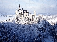 Zima, Zamek, Las