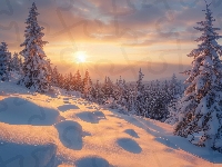 Zaspa, Las, Zima, Drzewo, Wzgórze, Poranek, Wschód słońca, Śnieg, Niebo