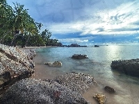 Ocean Spokojny, Palmy, Morze, Zatoka Tajlandzka, wyspa Ko Tao, Tajlandia, Prowincja Surat Thani, Kamienie