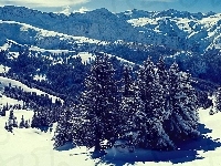 Zbocza, Zima, Góry, Śnieg, Drzewa