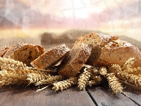 Kłosy, Chleb, Kromki, Zboża