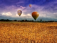 Zboże, Balony, Pole, Chmury