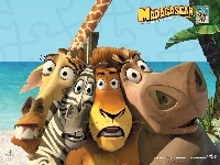 Zebra, Hipopotan, Madagaskar, Żyrafa, Lew