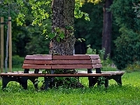 Zieleń, Park, Drzewa, Ławka