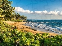 Zieleń, Ocean, Plaża, Hawaje