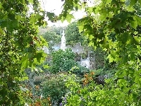 Zieleni, Ukryty, Pośród, Pałac