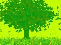 Grafika, Drzewo, Zielone