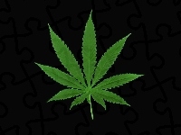 Liść, Zielony, Marihuany