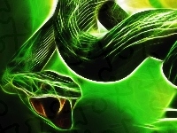 Wąż, Zielony, Grafika