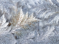 Mroźne, Szyba, Wzory, Zima, Grafika AI