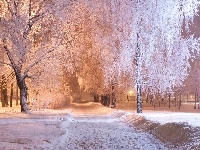 Ścieżka, Zima, Park