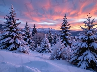 Wschód słońca, Ośnieżone, Zima, Zbocze, Drzewa