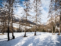 Góry, Śnieg, Drzewa, Zima